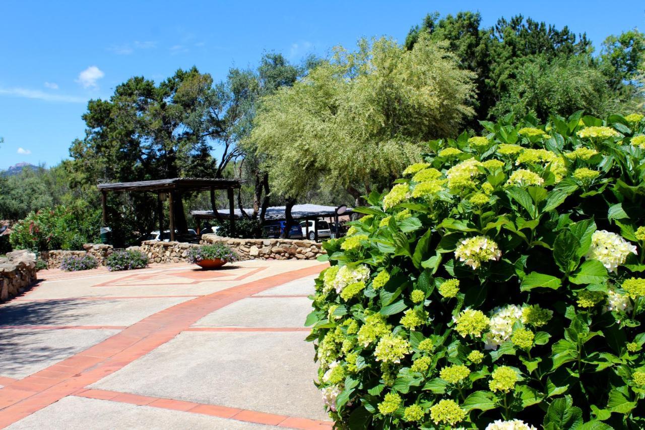 Casa Vacanze Il Cisto - Golfo Di Marinella Villa Porto Rotondo Exterior photo